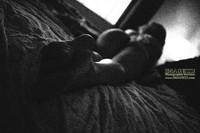 IMAGEZZ_4586a